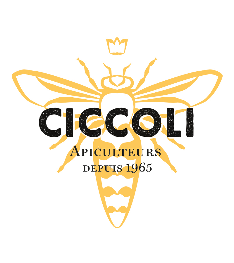 identité visuelle Ciccoli apiculteur logo identité visuelle Ciccoli apiculteur logo