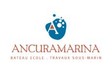 Ancura Marina