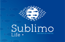 Dossier de presse Sublimo – Mise en page –