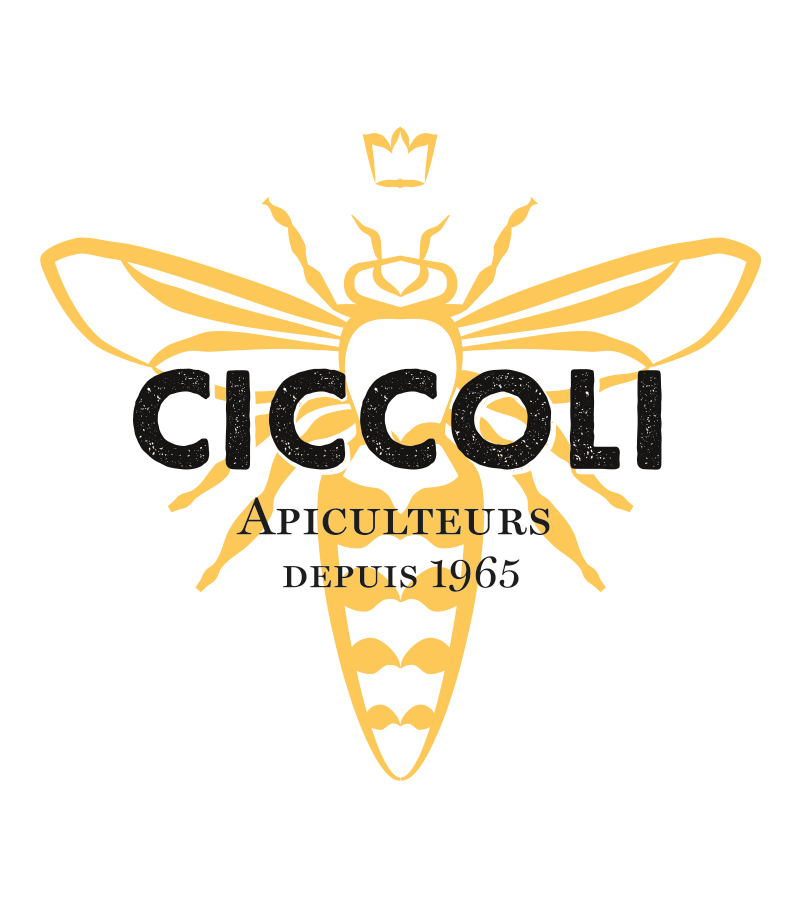 identité visuelle Ciccoli apiculteur logo