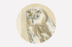 Croquis – Museo di Storia Naturale del Mediterraneo